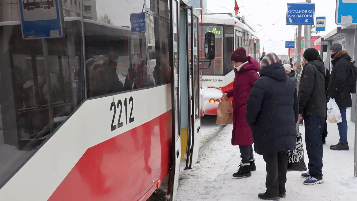 В Омске из-за обрезки деревьев изменятся маршруты трамваев