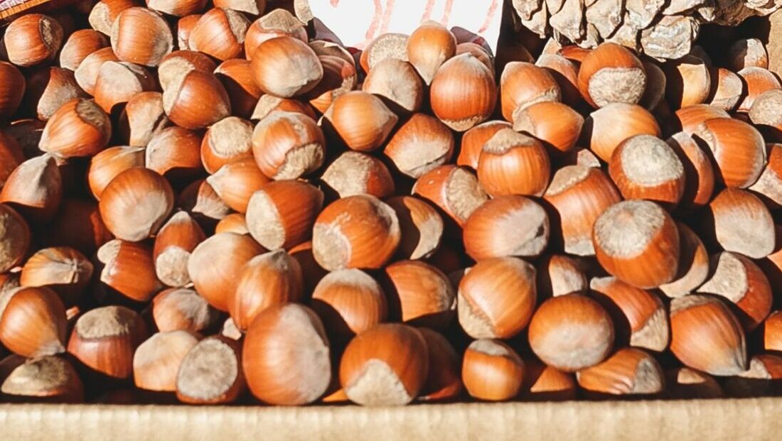 Из Омской области отправили 812 тонн кедровых орехов в Китай