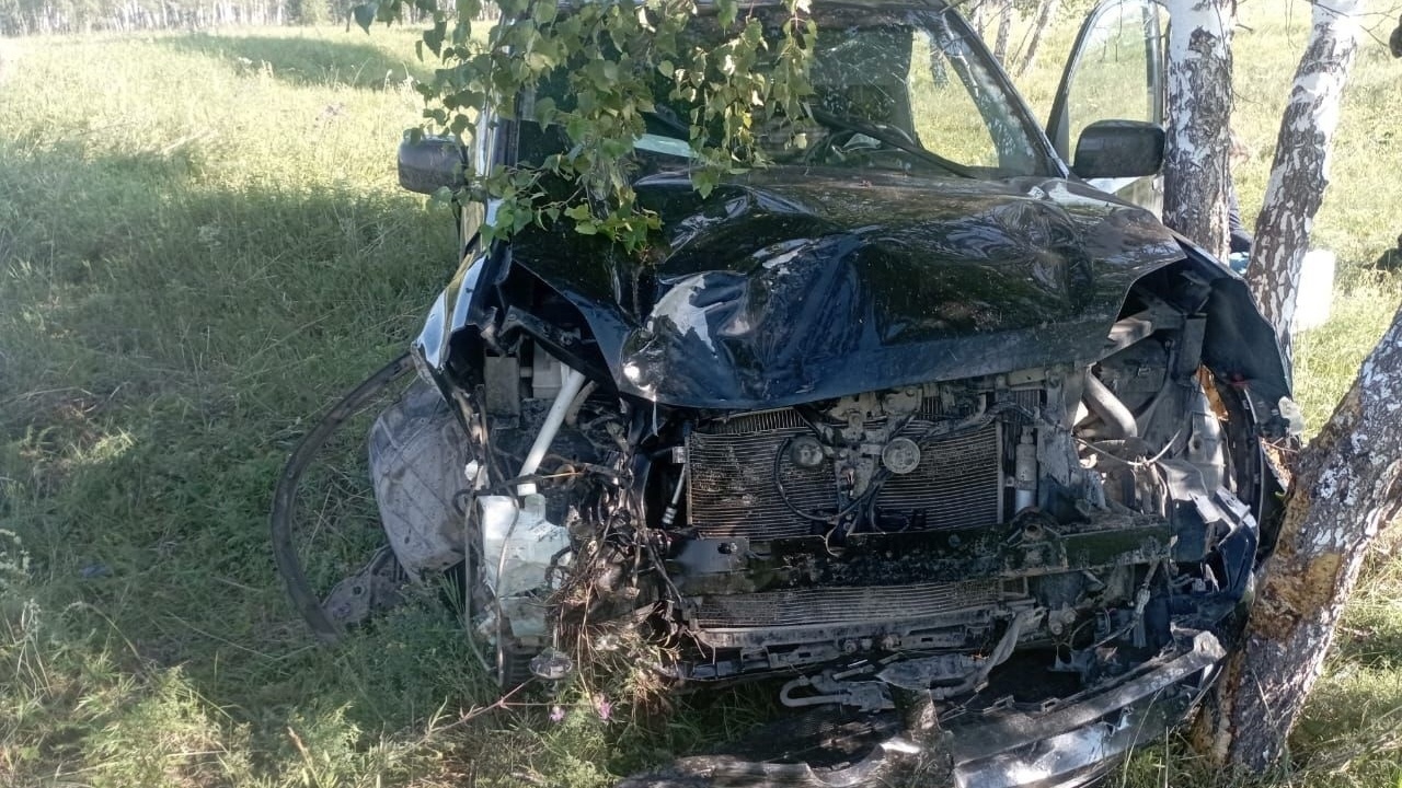 В Омской области пьяный мужчина угнал машину у односельчанина и врезался в дерево