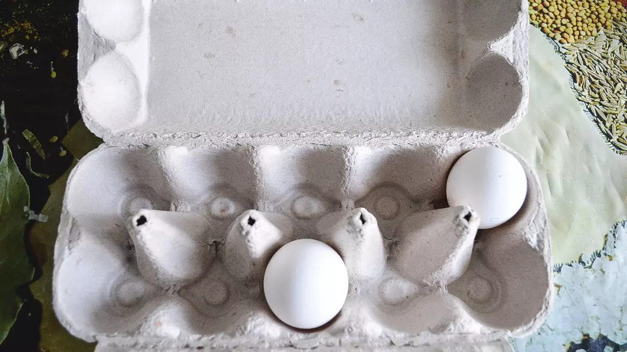 Свалку яиц, обнаруженную на окраине Омска, пытались сжечь