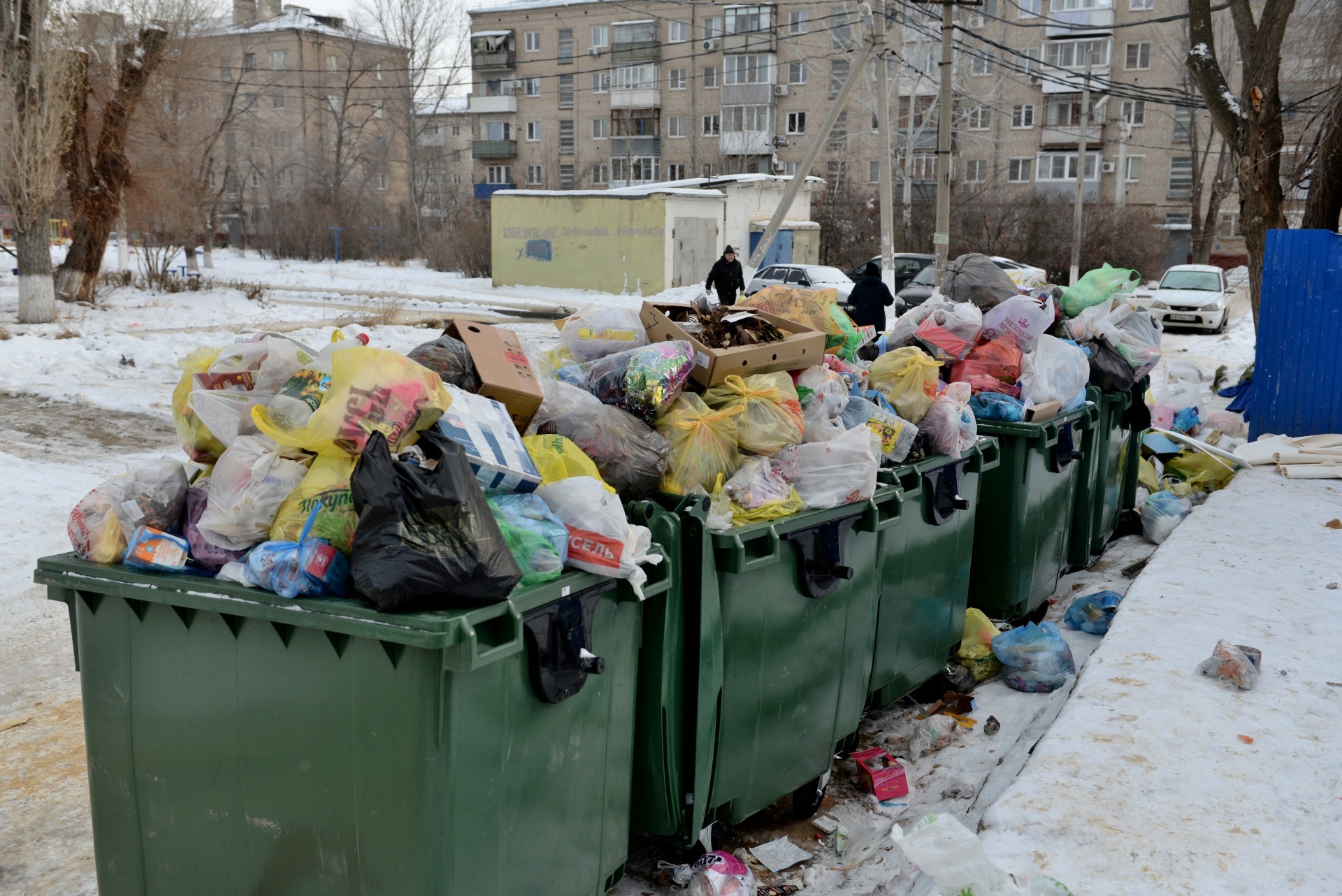 Минприроды РФ выделит регионам 5 млрд на покупку мусорных контейнеров