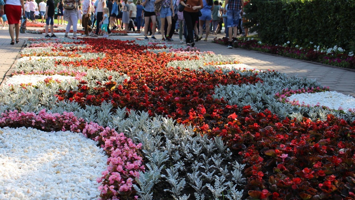Цветочную выставку «Флора» в Омске запланировали на 5 августа