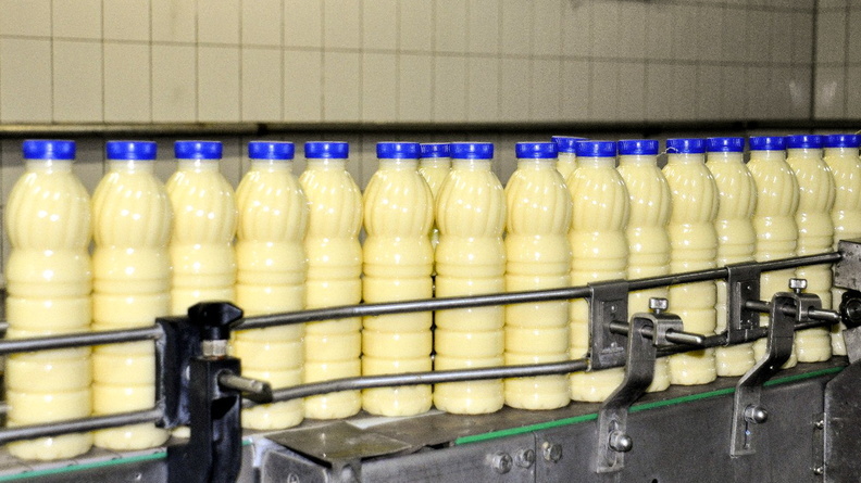 В Омской области готовятся к открытию современного молокозавода